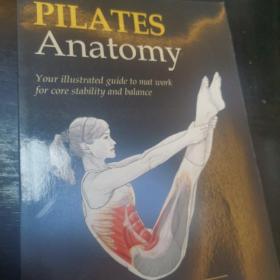 Pilates   Anatomy