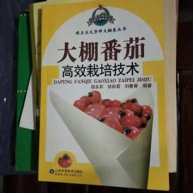 大棚番茄高效栽培技术