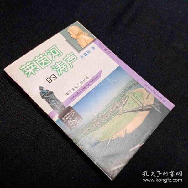 莱茵河的涛声:旅欧散记