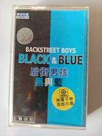 后街男孩 黑与蓝  磁带