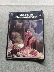 cacti  succulents