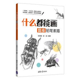 什么都能画昆虫铅笔素描