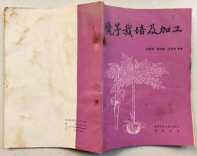 魔芋栽培及加工