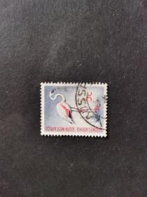 西南非洲邮票（动物）：1961年邮票-火烈鸟 1枚