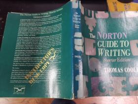 the norton guide to writing