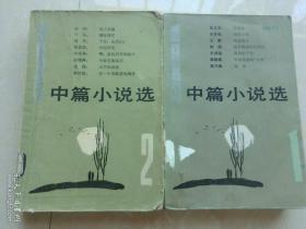 1983年中篇小说选  一二两册合售