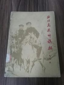 西北高原帅旗飘