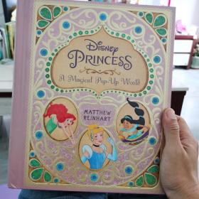 Disney Princess ：a magical pop-up word   英文原版立体书