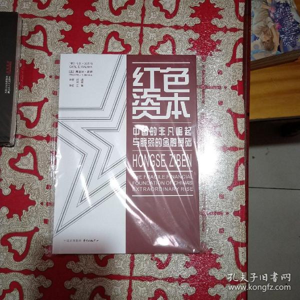 红色资本：中国的非凡崛起与脆弱的金融基础