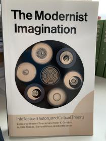 The Modernist Imagination: Intellectual History and Critical Theory. Essays in Honor of Martin Jay