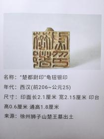 徐州博物馆汉代玉金银玛瑙铜印章总汇，共140多方，金石篆刻印章研究的经典好资料
集成册，共96页，打包出200包顺丰