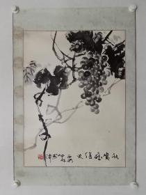 保真书画，天津名家向中林国画《葡萄》一幅，原装裱镜心。