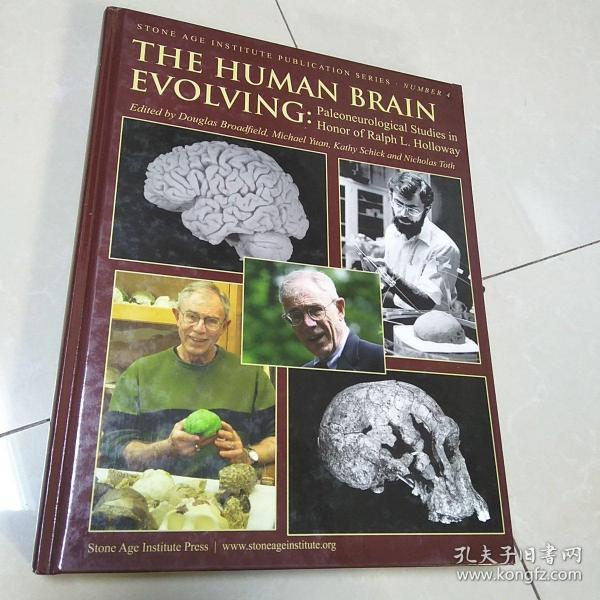 英文版~人类大脑进化
