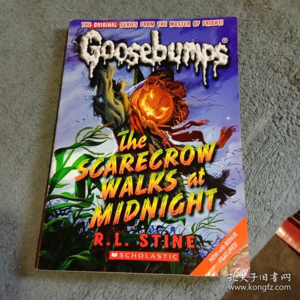 Scarecrow Walks at Midnight （Classic Goosebumps #16）鸡皮疙瘩经典16：惊骇的夜游