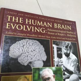 英文版~人类大脑进化
