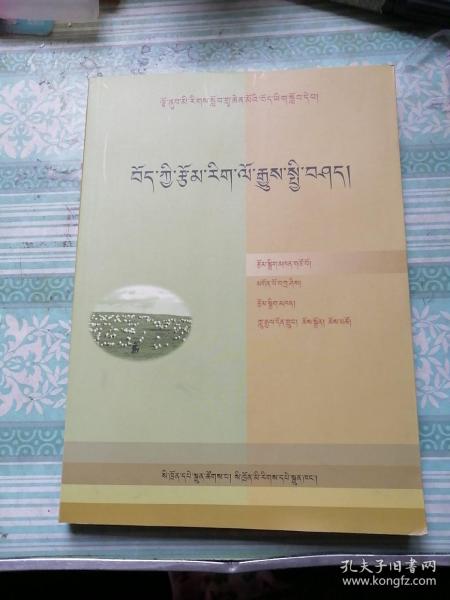 藏族文学简史    藏文版              封面和扉页有粘连。