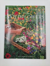 How to Grow the Wildflowers