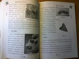 生命科学·探究式学习丛书—昆虫