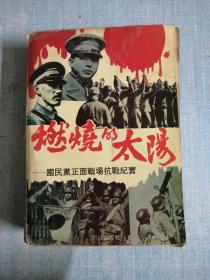 燃烧的太阳 国民党正面战场抗战记实