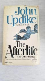 The afterlife and other stories  【英文原版，品相佳】