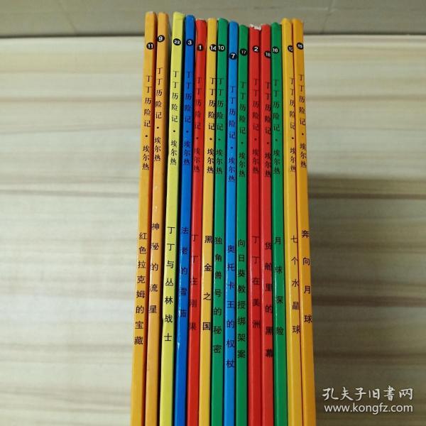 丁丁历险记 中国少年儿童（14册合售）