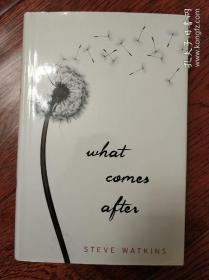 What Comes After