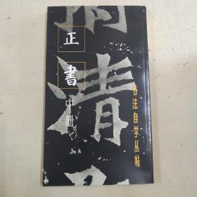 正书（中册）