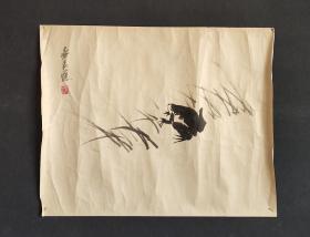 日本回流字画手绘名家齐良迟青蛙图托片D2694