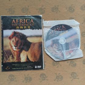 动物世界（1碟DVD）