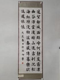 保真书画，杨向华书法一幅，原装裱镜心，尺寸142×50cm