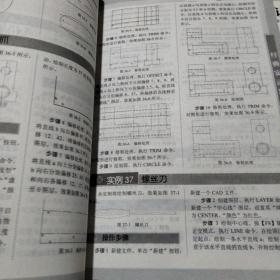 2010中文版AutoCAD辅助设计经典实录228例