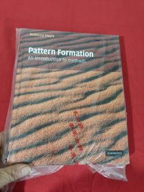 Pattern Formation: An Introduction to Methods （大16开，硬精装）  【详见图】