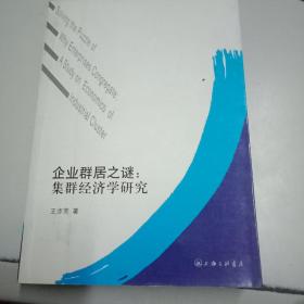 企业群居之谜：集群经济学研究