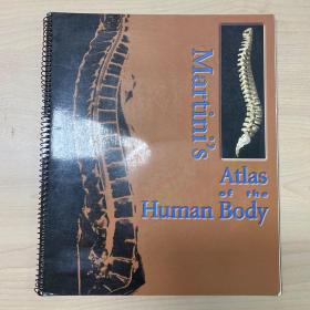 Martini‘s atlas of the human body