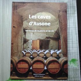 Les caves dAusone : Les noces de la pierre et du vin酒窖