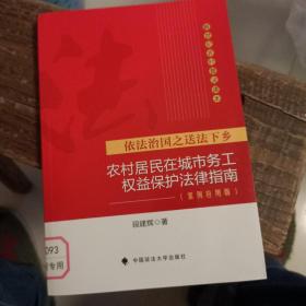 依法治国之送法下乡：农村居民在城市务工权益保护法律指南（案例应用版）