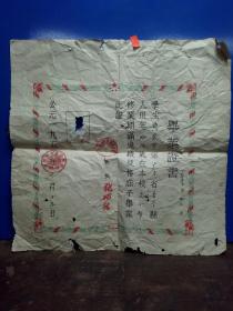 50年代广东省普宁县毕业证书一张品比较弱