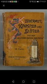 包邮 1900版馆藏 Pieper著《UNKRAANTKNOSPEN UND BLüTENN（中华苗蔓花）》漆布面硬精装一册（内又500多幅民俗、建筑、义和团、刑法、鸦片邓图片和北京平面图）