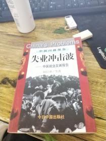 失业冲击波:中国就业发展报告