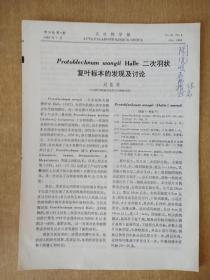 protoblechnum wongii halle 二次羽状复叶标本的发现及讨论  刘陆军 签赠本.1989年