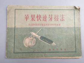 1960年苹果快速芽接法