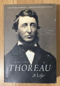 Henry David Thoreau: A Life 亨利·戴维·梭罗的一生 022659937X