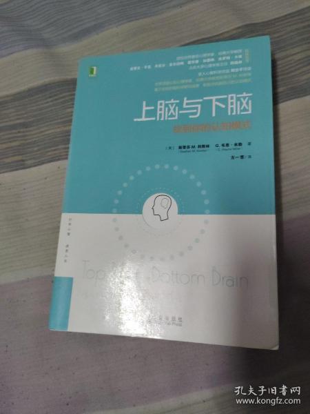 上脑与下脑：找到你的认知模式：世界顶级认知心理学家、哈佛大学教授基于全新的脑科学研究成果，帮助你找到自己的认知模式