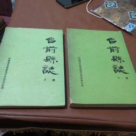 台前县志上下册（征求意见稿）（河南省）