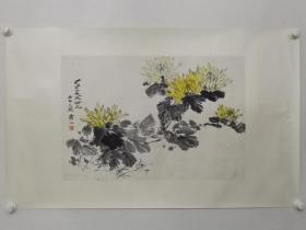 保真书画，北京著名画家万一《菊花傲霜图》花鸟画一幅，纸本镜心，尺寸45.5×67cm