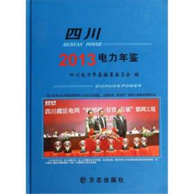 正版现货 四川电力年鉴（2013）      FZ12方志图书