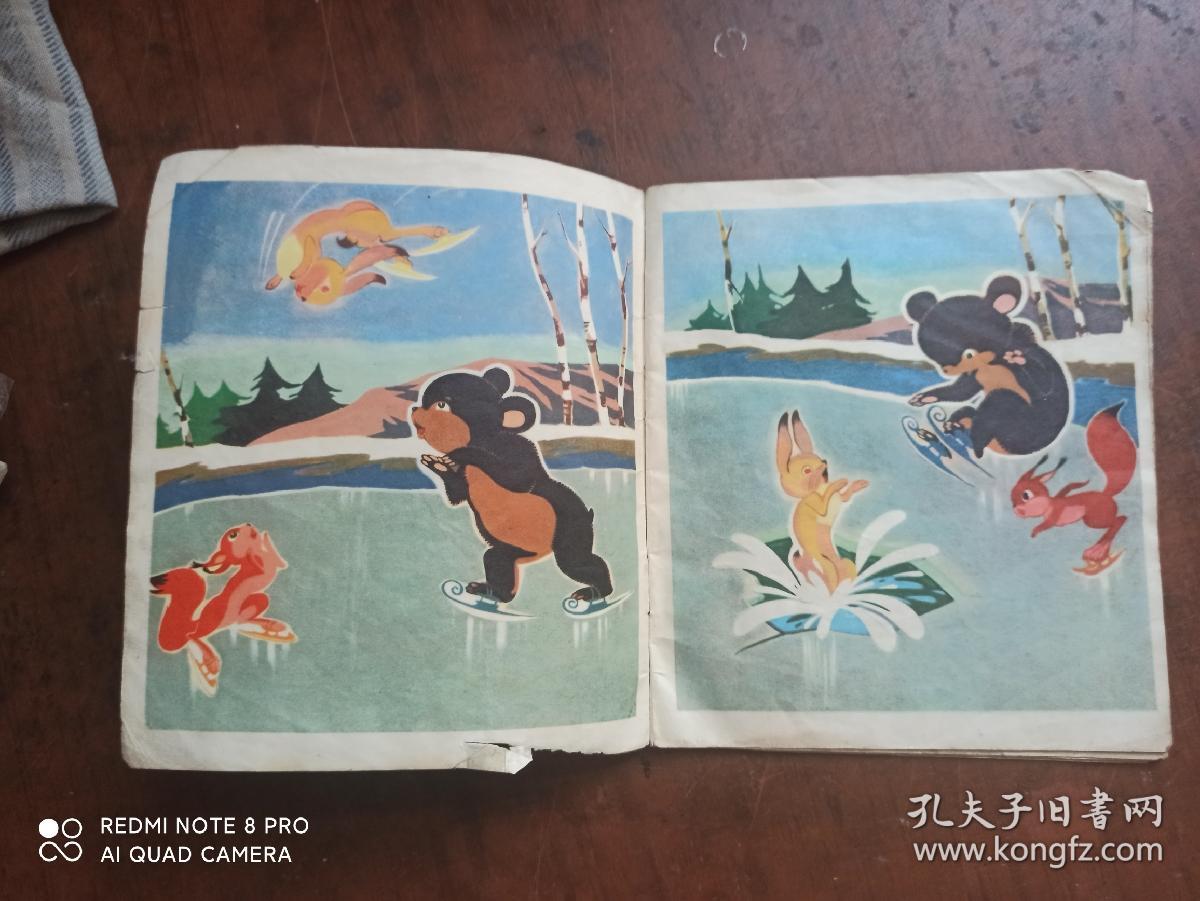 冰上的伙伴.