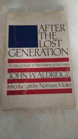 After The Lost Generation: A Critical Study Of The Writers Of Two Wars 英文原版 两战期间作家研究