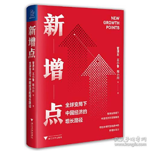 新增点：全球变局下中国经济的增长路径