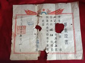 1951年北京私立文华职业学校毕业证